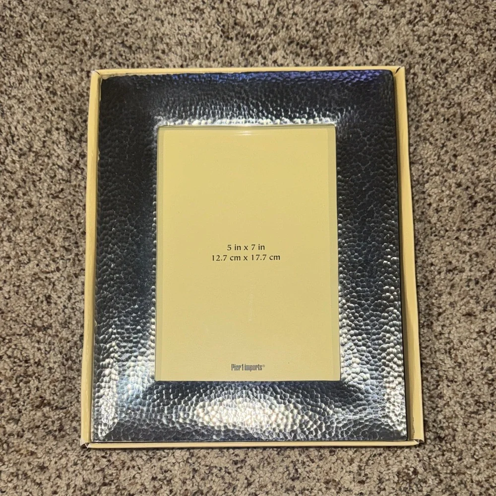 Pier 1 imports Silver Frame
